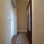 Protodomus 3* برونتي