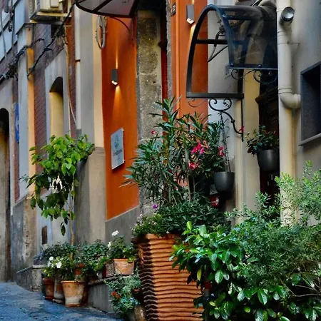 בית הארחה Protodomus ברונטה