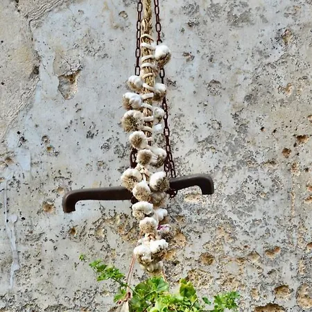 Protodomus בית הארחה