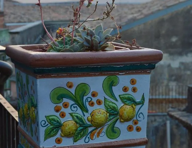 Protodomus