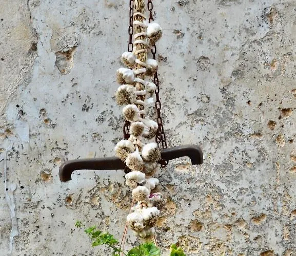 Protodomus Gasthuis